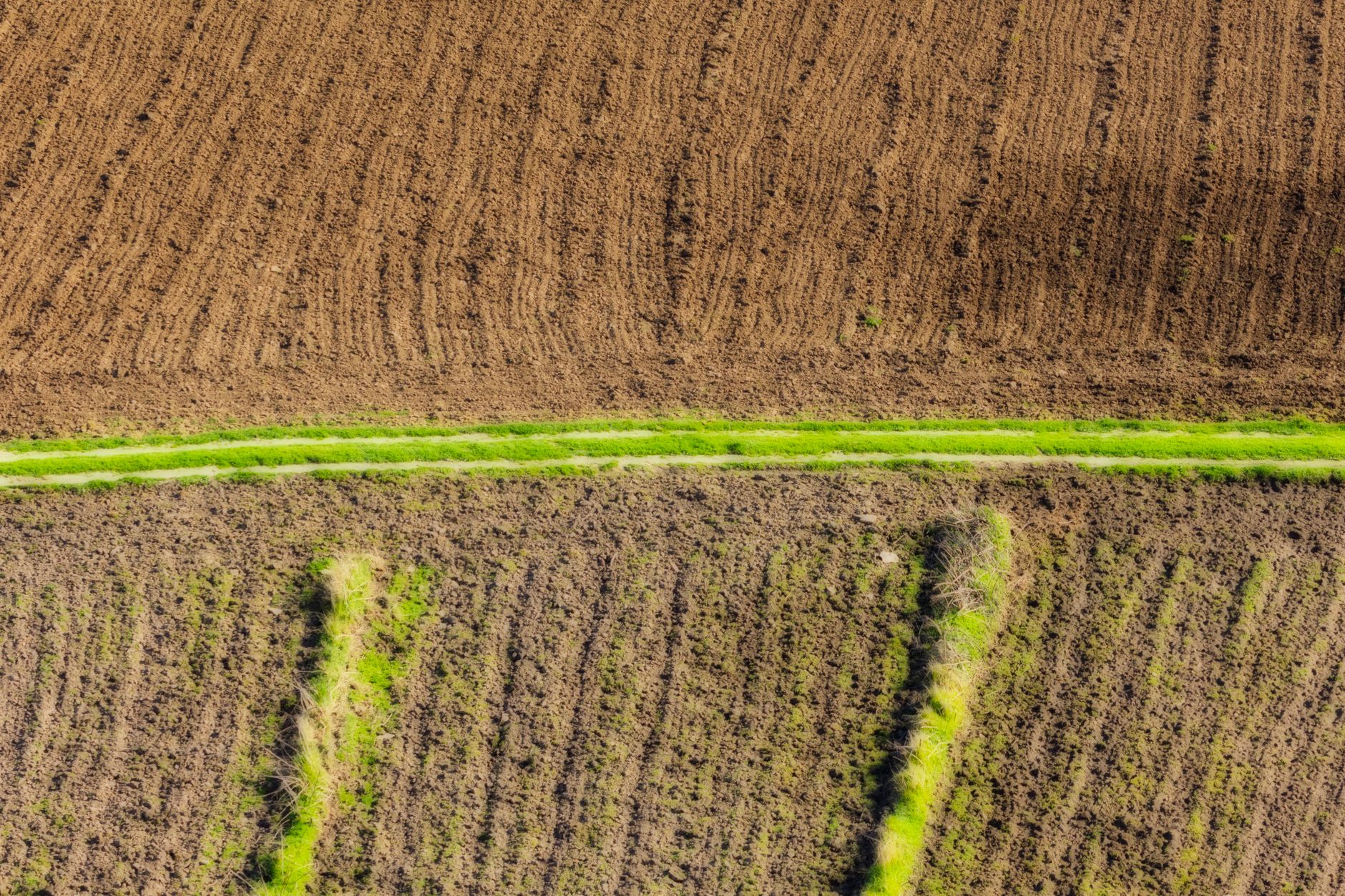 A Comprehensive Guide to Ecological Production Certifications